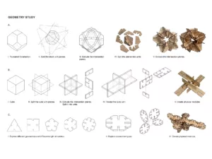 Generative Isotropic Timber System: Geometry study